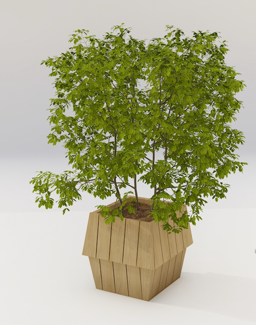 Nordlys, en nydelig arkitekttegnet blomster -og plantekasse